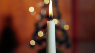 Noel ağacı ile mum bokeh ışık arkaplan orta yakınlaştırma seçici odak noktası