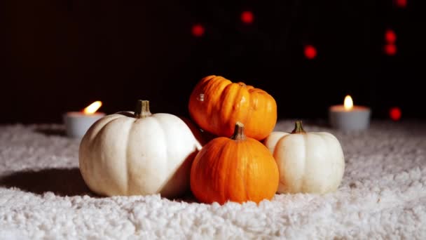 Herbstkürbisse Mit Kerzen Warmen Hintergrund Mittlere Zoomaufnahme Selektiver Fokus — Stockvideo