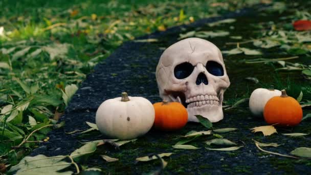 秋のハロウィンカボチャと不気味な頭蓋骨は メディアパンニングズームショット選択的な焦点を残します — ストック動画