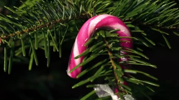 Γλυκό Ζαχαροκάλαμο Κρέμεται Χριστουγεννιάτικο Δέντρο Κοντά Zoom Shot Αργή Κίνηση — Αρχείο Βίντεο
