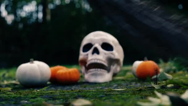 Halloween Dýně Čarodějnice Koště Zblízka Zoom Shot Selektivní Zaměření — Stock video