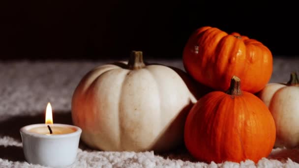 Autumn Pumpkins Candles Warm Background Dolly Slider Close Zoom Shot — Stock Video