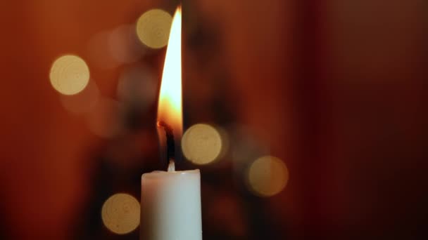 Svíčka Vánoční Strom Bokeh Světlo Pozadí Střední Zoom Výstřel Selektivní — Stock video