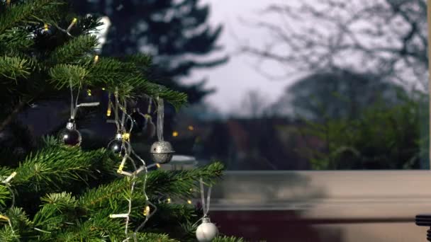 Χριστουγεννιάτικο Δέντρο Στο Σπίτι Μπροστά Από Παράθυρο Μπιχλιμπίδια Και Ζαχαροκάλαμο — Αρχείο Βίντεο