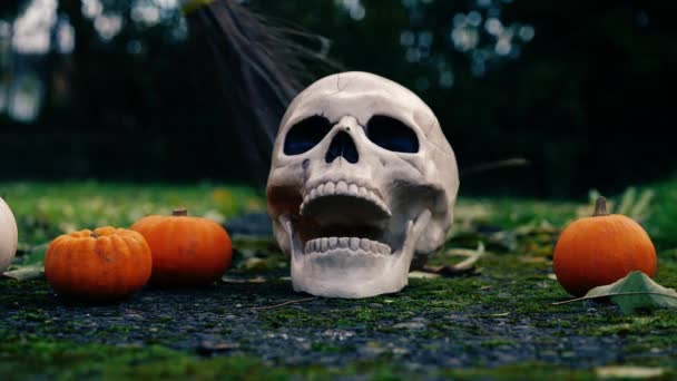 Halloween Dýně Čarodějnice Koště Medium Shot Selektivní Zaměření — Stock video