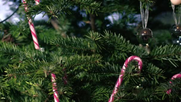 Kerstboom Huis Met Kerstballen Suikerriet Medium Zoom Dolly Schot Slow — Stockvideo