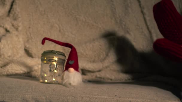 Ноги Рождественских Носках Диване Средний Выстрел Замедленного Движения Селективного Фокуса — стоковое видео