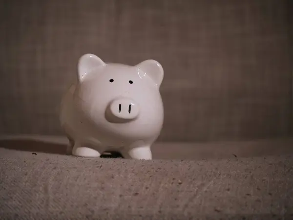 Piggy Bank Tasarruf Odak Noktası 