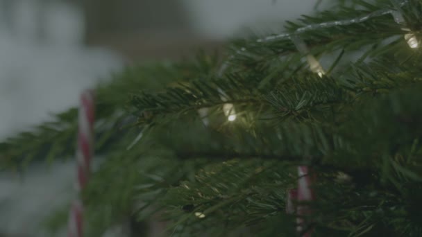 Χριστουγεννιάτικο Δέντρο Στο Σπίτι Μπιχλιμπίδια Και Ζαχαροκάλαμο Κοντά Dolly Πυροβόλησε — Αρχείο Βίντεο