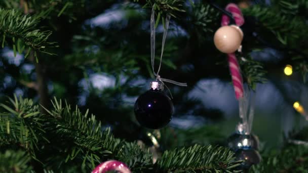Χριστουγεννιάτικο Δέντρο Στο Σπίτι Μπιχλιμπίδια Και Καραμέλα Ζαχαροκάλαμο Μέσο Zoom — Αρχείο Βίντεο