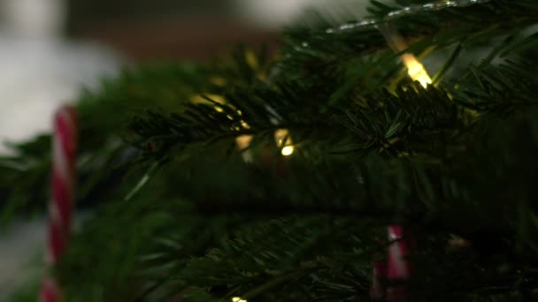 Χριστουγεννιάτικο Δέντρο Στο Σπίτι Μπιχλιμπίδια Και Ζαχαροκάλαμο Από Κοντά Zoom — Αρχείο Βίντεο