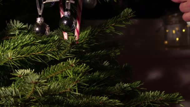 Χέρι Διακόσμηση Χριστουγεννιάτικο Δέντρο Στο Σπίτι Μπιχλιμπίδια Και Καραμέλα Ζαχαροκάλαμο — Αρχείο Βίντεο