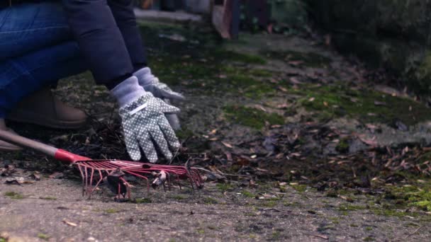 庭の広い4Kスローモーションショット選択的なフォーカスで死んだ葉を集める — ストック動画