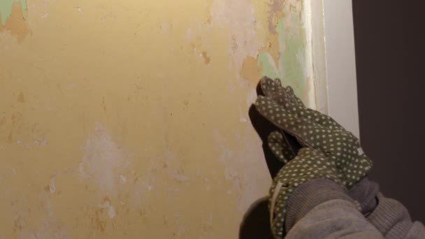内部の家の壁媒体ショット選択的な焦点からの壁紙を剥がす手 — ストック動画