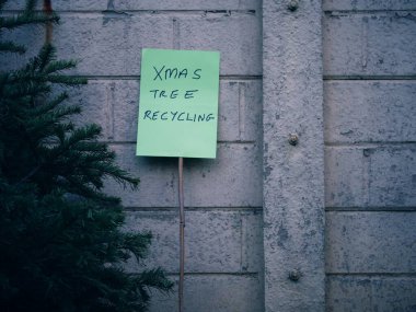 Eski Noel ağacının geri dönüşümü seçici odak noktası