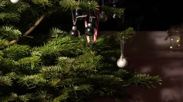 Evde Noel Ağacı Takılar Şeker Kamışlarıyla Yavaş Çekimde Seçici Bir — Stok video