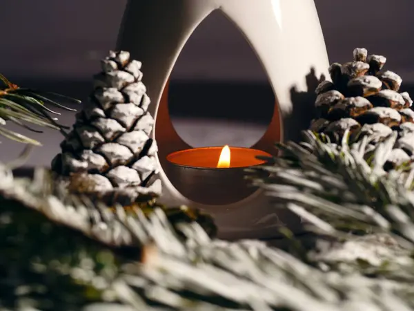 Zen Essential oil burner with winter pine cones close up shot selective focus