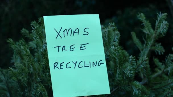 古いクリスマスツリーをリサイクル 人形ショットスローモーション選択的な焦点 — ストック動画