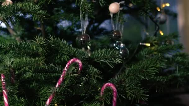 Рождественская Елка Доме Безделушками Конфеткой Средний Выстрел Замедленной Съемки Селективного — стоковое видео