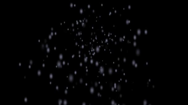 Snowfall Black Background Animation — Stock Video
