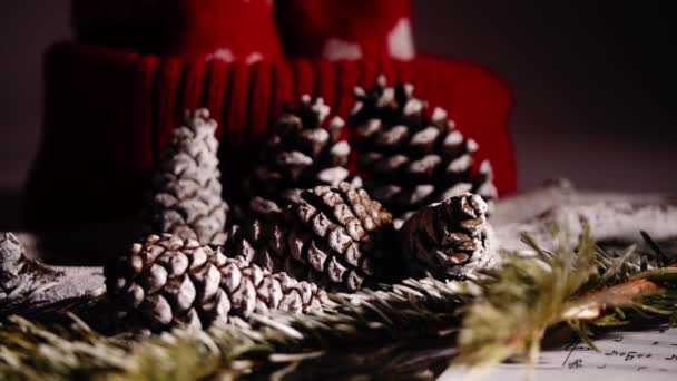 Зимние Сосновые Шишки Рождественскими Колядками Закрывают Dolly Selective Focus — стоковое видео