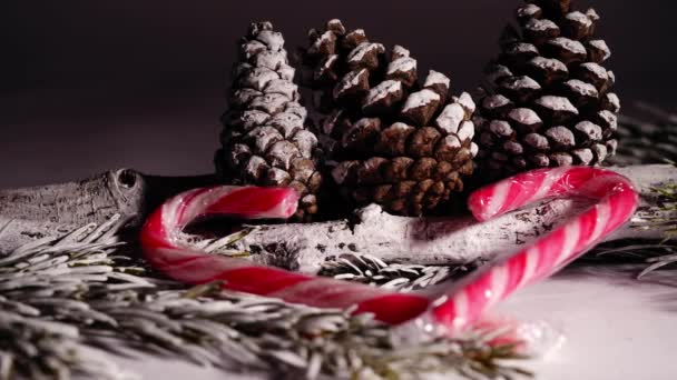 Χειμώνας Κουκουνάρια Και Candy Cane Κλαδιά Χριστουγεννιάτικο Δέντρο Λευκό Φόντο — Αρχείο Βίντεο