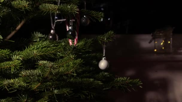 Julgran Hemmet Med Grannlåt Och Godis Sockerrör Medium Zoom Skott — Stockvideo