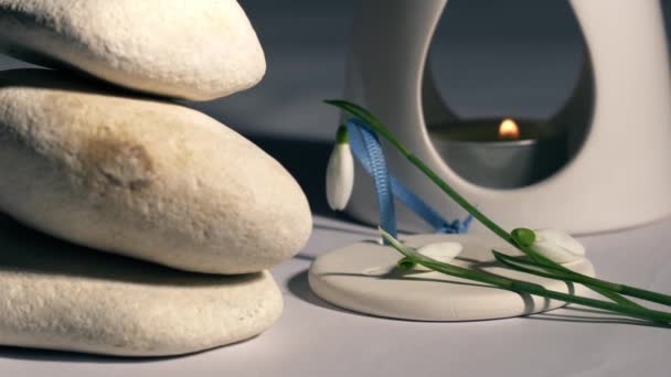 Kartopu Çiçekli Zen Aromaterapi Yağ Yakıcısı Kule Çekimine Odaklan — Stok video