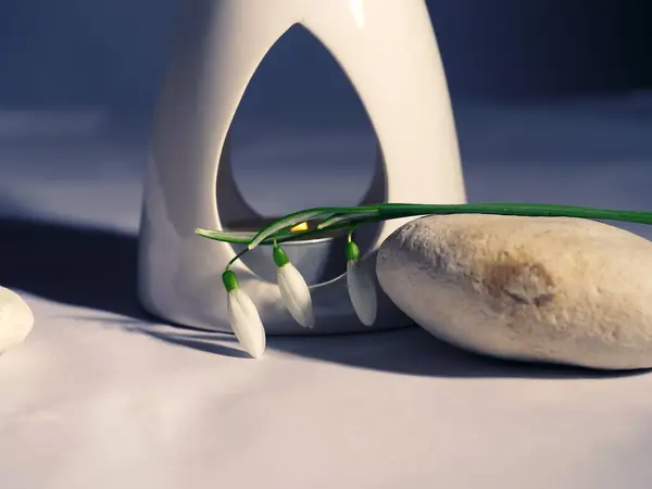 Kar damlası çiçekli Zen aromaterapi yağı yakıcı. Yakın plan seçici odaklanma.