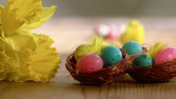Velikonoční Vajíčka Narcisy Květiny Displej Zblízka Dolly Zoom Shot Selektivní — Stock video