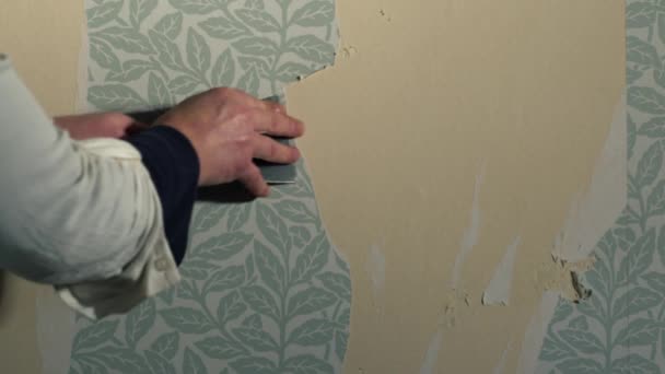 Hand Strippen Behang Van Huis Interne Muur Medium Slow Motion — Stockvideo