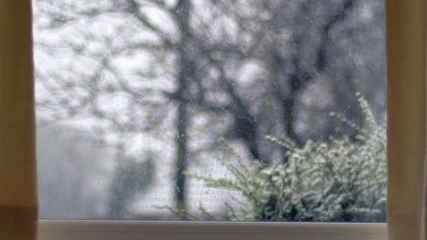 Schnee Fallende Bäume Wintertag Blick Durch Fenster Zoom Mittlere Aufnahme — Stockvideo