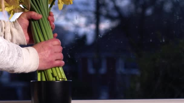 Kobieta Organizująca Bukiet Żonkil Kwiaty Wazonie Zbliżenie Strzał Selektywny Ostrość — Wideo stockowe