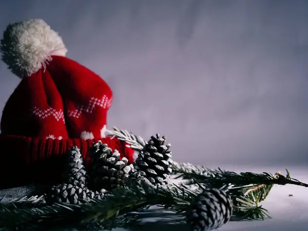 Kış kozalakları ve örülmüş kış şapkası. Yakın çekim seçici odak noktası.