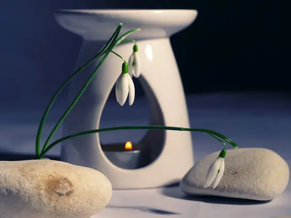 Zen aromatherapy oil burner with snowdrop flowers close up shot selective focus