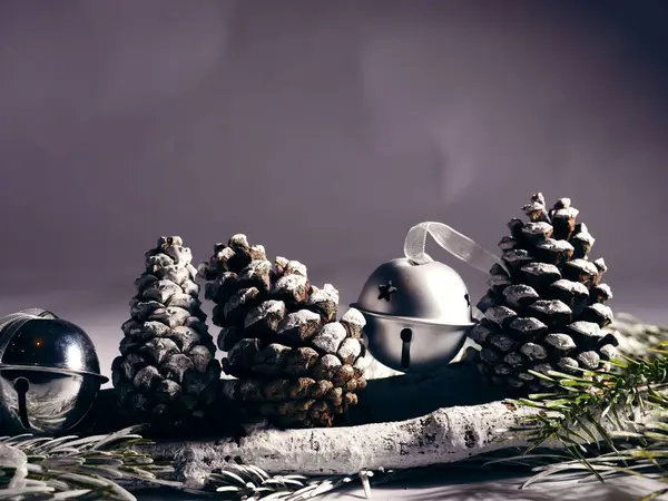 Noel gümüş çanı ve kış kozalakları seçici odak noktası