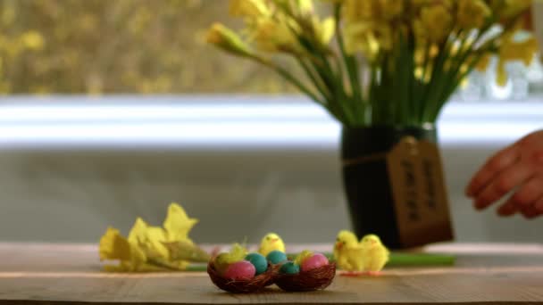 Świętowanie Wielkanocy Jajkami Żonkil Kwiaty Wyświetlacz Średnio Strzał Selektywny Ostrość — Wideo stockowe