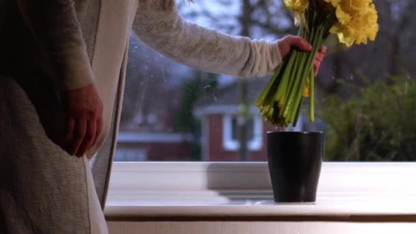 Woman Arranging Bouquet Daffodil Flowers Vase Medium Shot Selective Focus — Stock Video