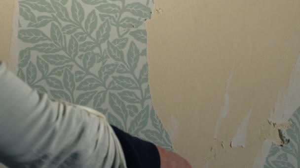 家の内部の壁媒体からの手のストリッピングの壁紙のズームの遅い動きの選択的な焦点 — ストック動画