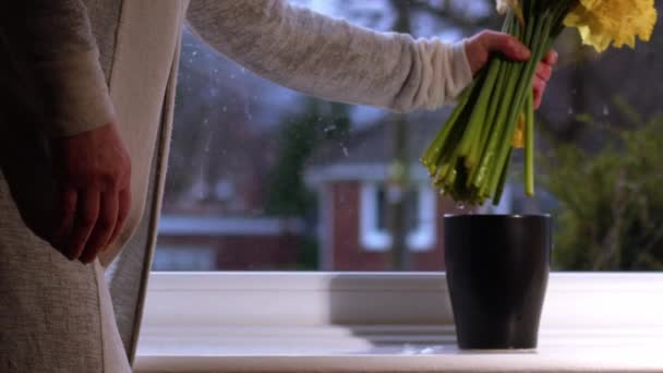 女人们在花瓶中放一束水仙花 投篮选择焦点 — 图库视频影像