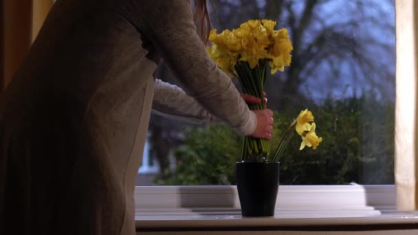 Жінка Організовує Букет Квітів Нарцисів Вазі Широкий Постріл Вибірковий Фокус — стокове відео