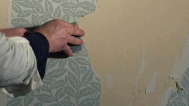 Ręczne Usuwanie Tapety Domu Ściana Wewnętrzna Medium Zoom Slow Motion — Wideo stockowe
