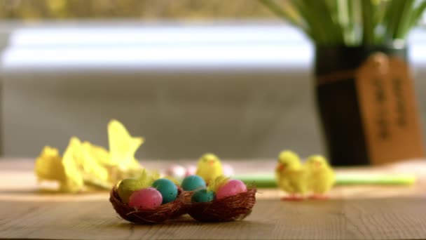 부활절 달걀과 Daffodil Dolly 선택적인 — 비디오