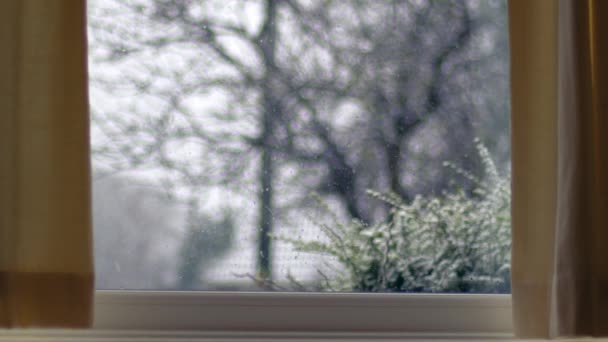 冬の日の眺めに雪が降る木 窓4Kの中型ショット選択的な焦点 — ストック動画