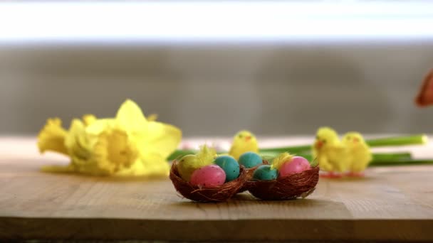 Paskalyayı Yumurta Nergis Çiçekleri Ile Kutlarken Seçici Odak Noktası Görüntülenir — Stok video