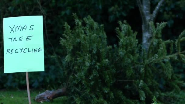 Reciclaje Viejo Árbol Navidad Amplio Zoom Tiro Cámara Lenta Enfoque — Vídeo de stock