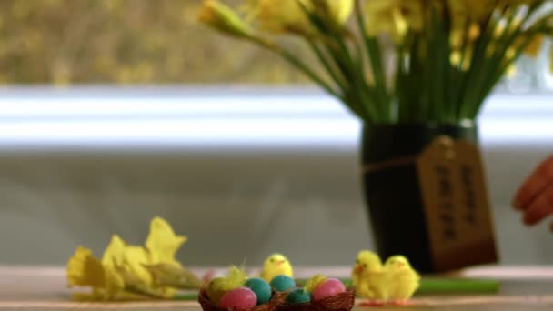 Paskalya Yumurtaları Nergis Çiçekleri Seçici Odaklı Orta Boy Yakınlaştırma Görüntüsü — Stok video
