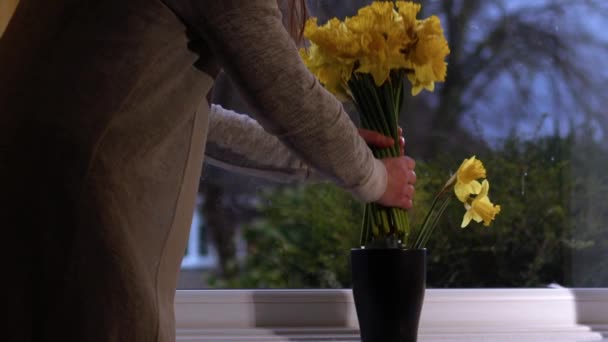 Жінка Організовує Букет Квітів Нарцисів Вазі Широкого Масштабу Вибірковий Фокус — стокове відео