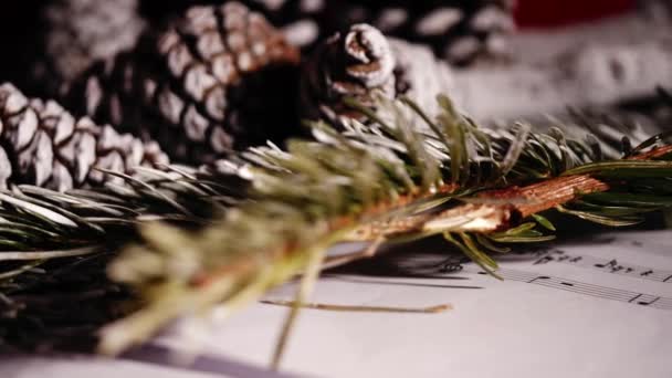 Çam Kozalakları Iğneli Noel Şarkıları Kule Seçici Odak Noktasını Kapatın — Stok video