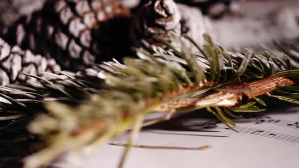 Christmas Carols Pine Cones Needles Winter Display Close Zoom Dolly — Stock Video